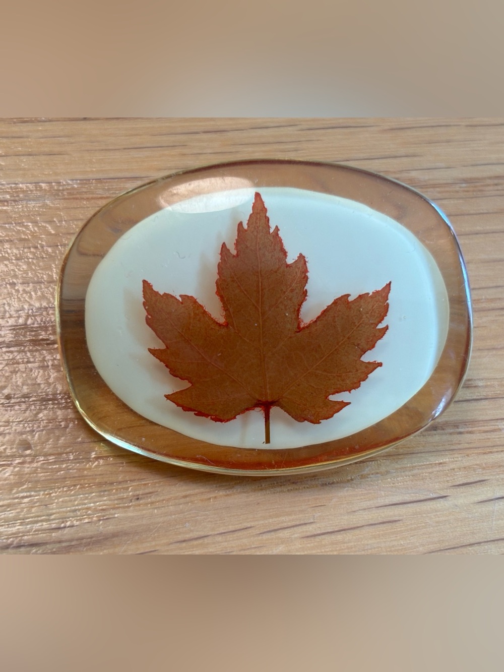 Vintage Lucite Maple Leaf Brooch